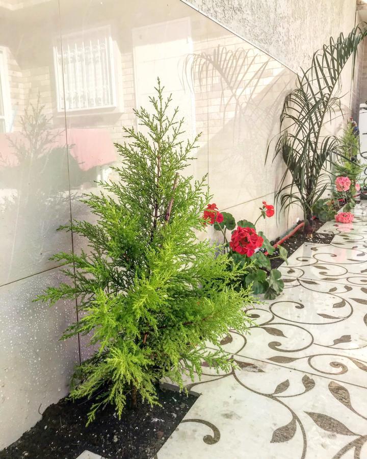 Shahal Apartments Μπερ Σεβά Εξωτερικό φωτογραφία